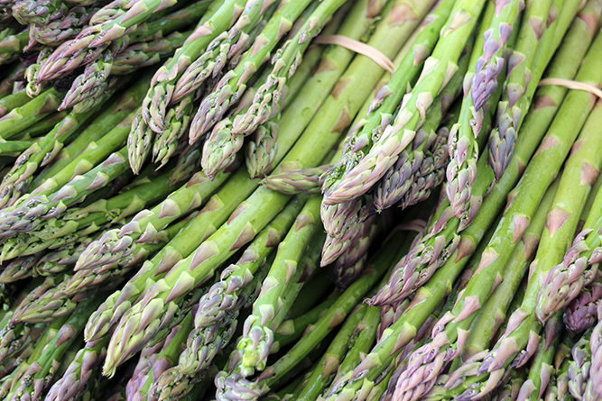 Asparagus 2