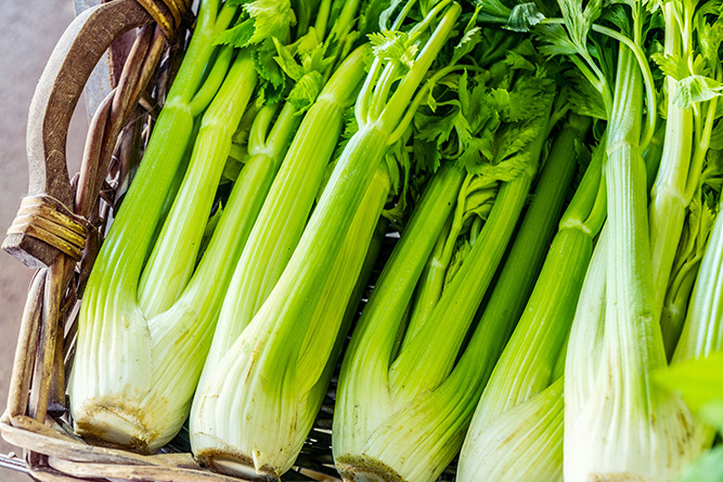 Celery 2