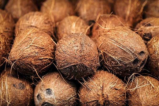 Coconut 2