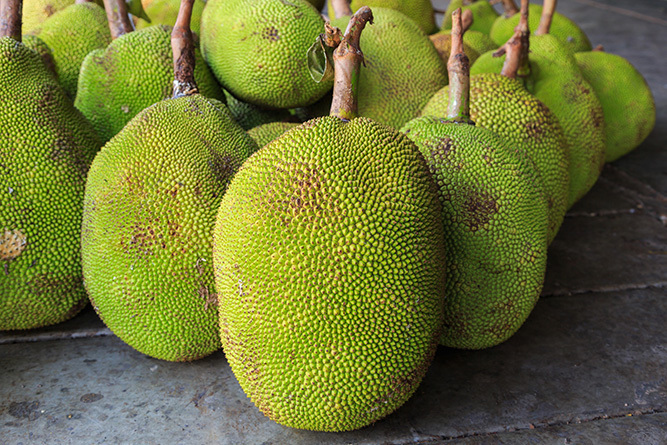 Jack Fruit 2