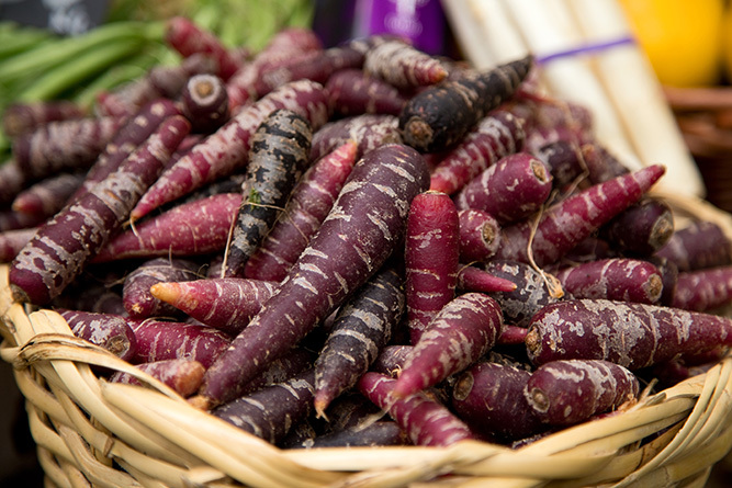 Purple Carrot 2